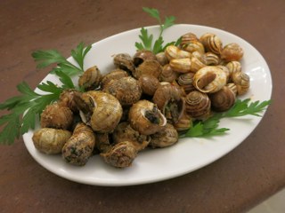 Lumaconi